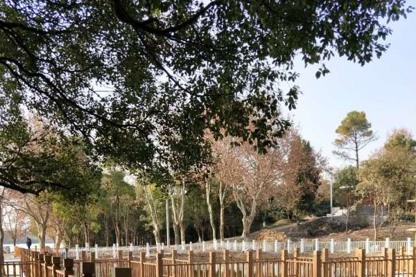 湖北洪山區青化路白玉公園鋼構護欄項目